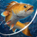 177a2d3aa296ad96a3cb7de7781abe6d Icon.png